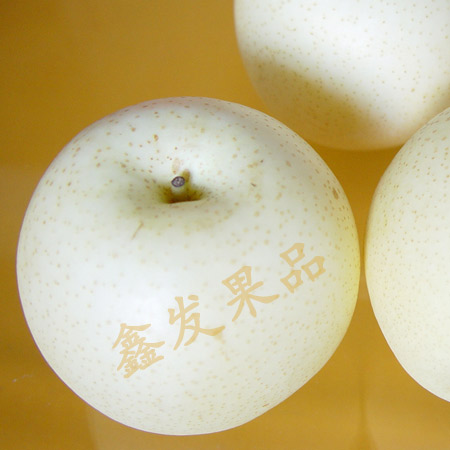 河北水晶梨